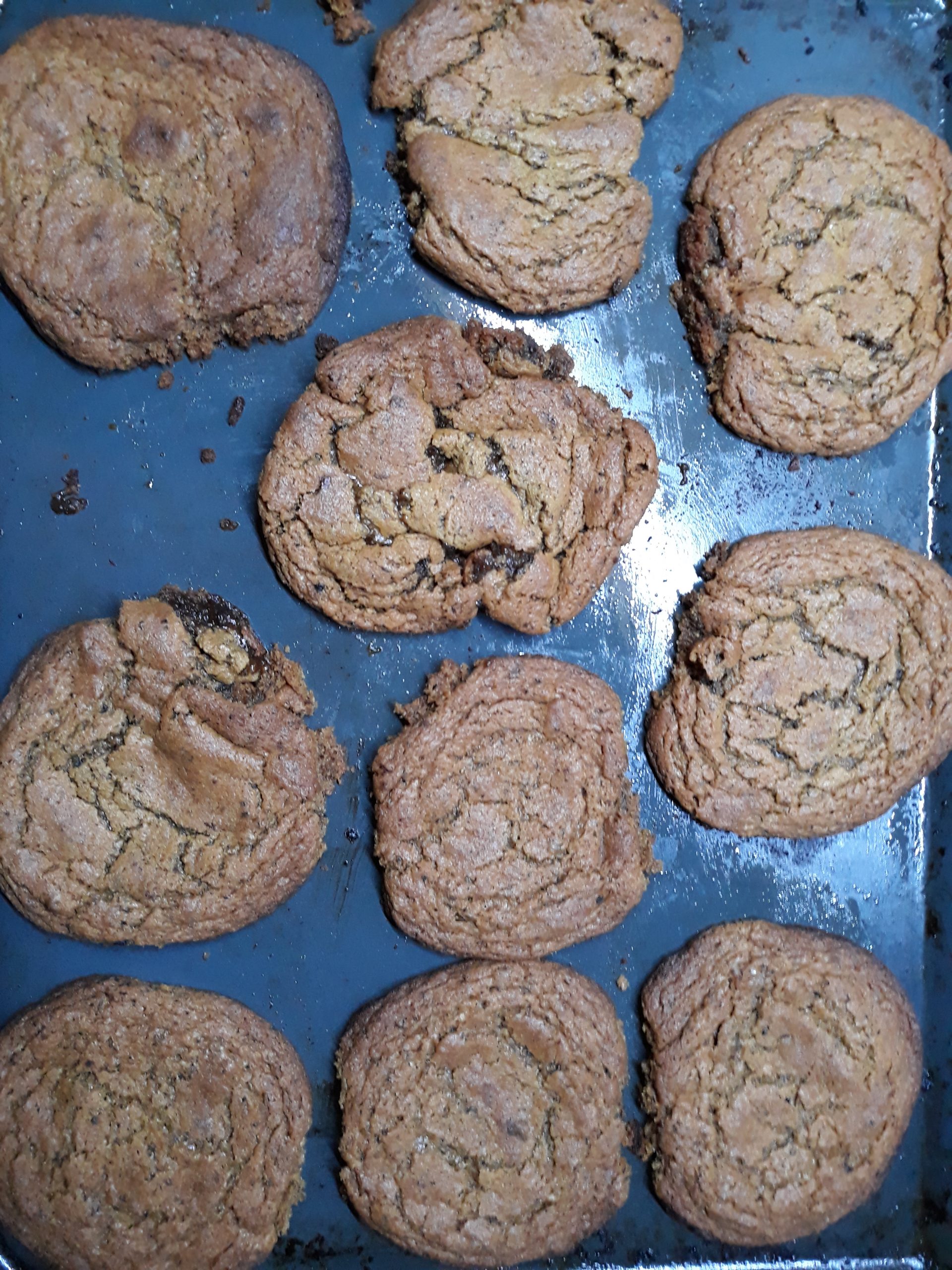 Theo Fotis Peanut butter & Black chocolate cookies